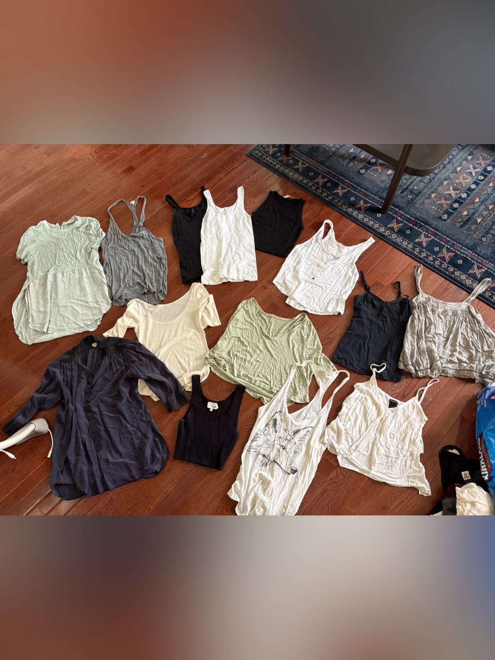 Aritzia Bundle - 24 items